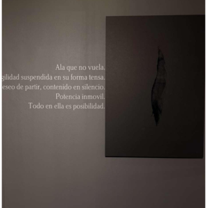 Ala Negra