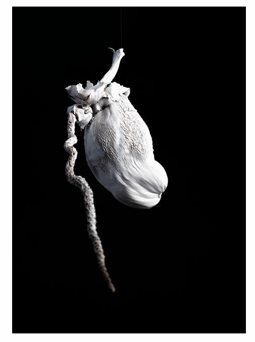 CORAZON